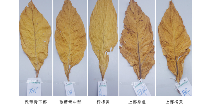 3044永利空气能热泵高温烘干机故障维修